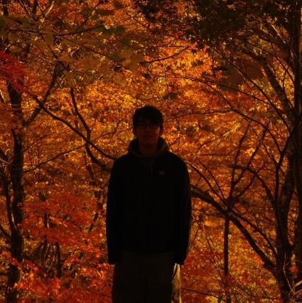 marsa_excel's profile picture. 稼働意欲は高め。
色々できます。