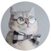 El Gato Relato (@gatorelato) Twitter profile photo El Gato Relato (@gatorelato) Twitter profile photo