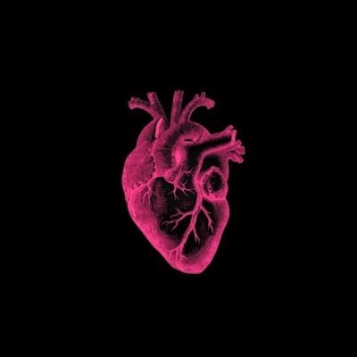 midori45195131's profile picture. .