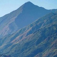 Parque Nacional El Ávila (@pnelavila) 's Twitter Profile