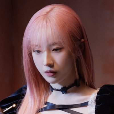 chohaseuldiary Profile Picture