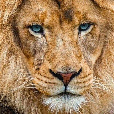 MuscelsOfSpain's profile picture. Top into ass games.