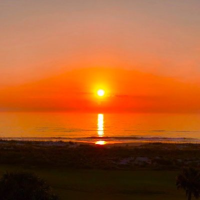 Richard Foreman Profile