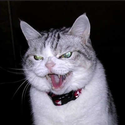 rocofefe's profile picture. I offend