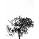 Pam Malone - @MapOfIreland - Twitter