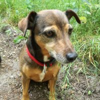 Bärbel 🇩🇪 💙 (@barbelbormes) Twitter profile photo