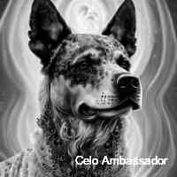 Celo Ambassador (@celoambssa_dor) 's Twitter Profile