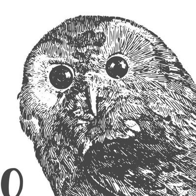 SpiteAndTrotz's profile picture. 