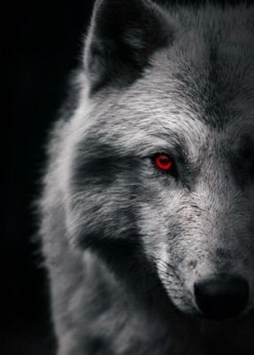 anuska76_'s profile picture. 