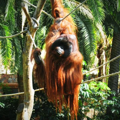 JonasLauri90952's profile picture. 