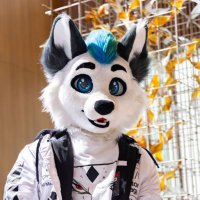 WhitePoint | The Local Arctic Fox(@White_Point_) 's Twitter Profile Photo