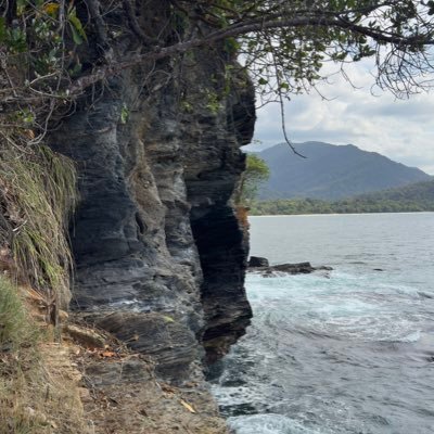 🇹🇹
