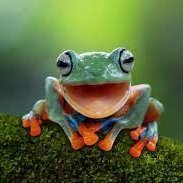 Redundant account largely used for checking Tory leadership stuff and not much else. Be a frog.