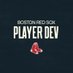 Red Sox Player Development (@RedSoxPlayerDev) Twitter profile photo
