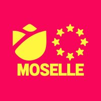 Jeunes Socialistes - Moselle(@JSocMoselle) 's Twitter Profile Photo