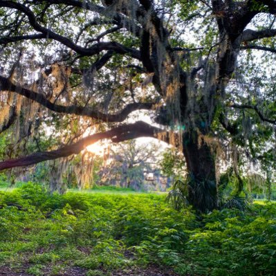 Finding and retweeting the best and brightest tweets about the Crescent City 🌙