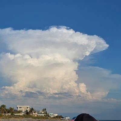 tornadoAly_wx's profile picture. weather enthusiast, forecaster in training :)