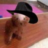 LouisM1994's profile picture. Scouser, writer, researching the social history of Art and the Paris Commune ☭