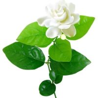 أحدهم🇯🇴🇸🇦 (@ksa_hkj) 's Twitter Profile Photo