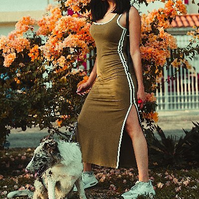 TreebarkBark's profile picture. 