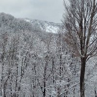 ブッシュ (@yabush_3) 's Twitter Profile