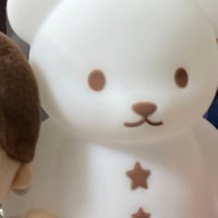 ふうさん (@taise_sun) 's Twitter Profile Photo