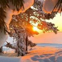 elif arda (@elifarda070707) Twitter profile photo