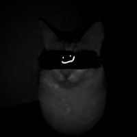the_REAL_eggcat(@eggcat696969) 's Twitter Profileg