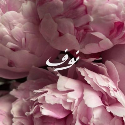 Noufa2018's profile picture. 𝑀𝑦 𝑆𝑜𝑢𝑙 𝑖𝑠 𝑚𝑦 𝑔𝑢𝑖𝑑𝑒🤍 🎶 ☕️ 🍽 ✈️ ♒️ 🕊