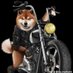 Billybob423 (@billubob423) Twitter profile photo Billybob423 (@billubob423) Twitter profile photo