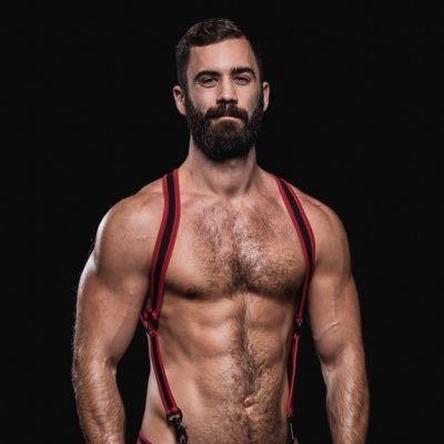 fitmusclepup Profile Picture