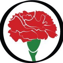 wholesalecarnat's profile picture. Wholesale bulk carnations, roses 🌹 flowers & more! Delivery available nationwide.