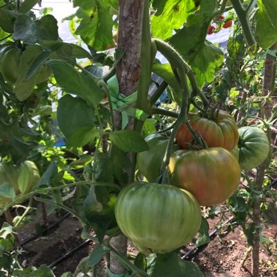 xuud314's profile picture. 