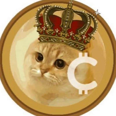 @catcoin   catcoin army