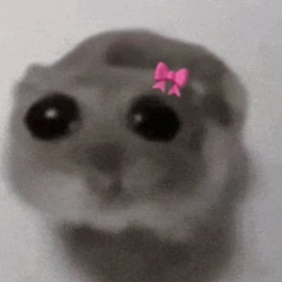 Holy_MeMe_Slave's profile picture. 🐋🍓🤎