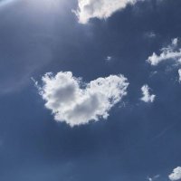 sieyun (@sieyun435727) Twitter profile photo