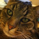 Daniel Diego - @iDanipro - Twitter