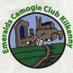 Emeralds Camogie Club Urlingford🇳🇬 (@emeralds77330) Twitter profile photo