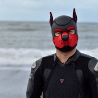 drone symbiote (@baikapup) 's Twitter Profile Photo