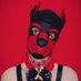 Pup Lux πΎ (@pupluxuris) Twitter profile photo Pup Lux πΎ (@pupluxuris) Twitter profile photo