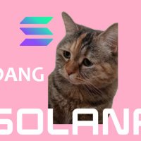 GuangDang_on_sol(@GuangDangcat) 's Twitter Profile Photo