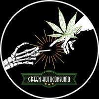 GreenAutoConsumo(@GreenAutoConsum) 's Twitter Profile Photo