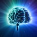 The Brain🧠 (@almibul) Twitter profile photo The Brain🧠 (@almibul) Twitter profile photo