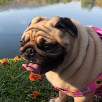 ORIGINALNARIᴸᴸᴼᵁᴰ (@nari19831) 's Twitter Profile Photo ORIGINALNARIᴸᴸᴼᵁᴰ (@nari19831) 's Twitter Profile Photo