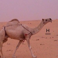 " البدوي " (@_llil11) 's Twitter Profile Photo " البدوي " (@_llil11) 's Twitter Profile Photo