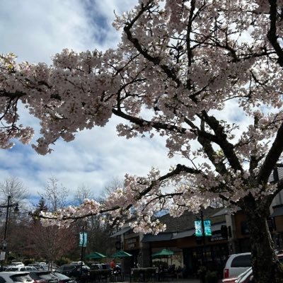 🇨🇦在住 / 2024.2-未経験からスタバ店員 / 元貿易系8年勤務/ 英語,IT,SBUX…CA在住の方々無言フォロー失礼します🙏