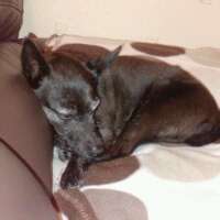 HenbabyS's profile picture. 