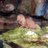 sne_5sy's profile image