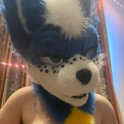 19 | After Dark 🔞 Account of @Locotheshywolf | Taken | No Minors or you’ll be blocked | Toppy Wolfie | Never had sex before 👀