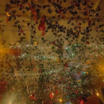 smt19861118's profile picture. crazy cricket fan...